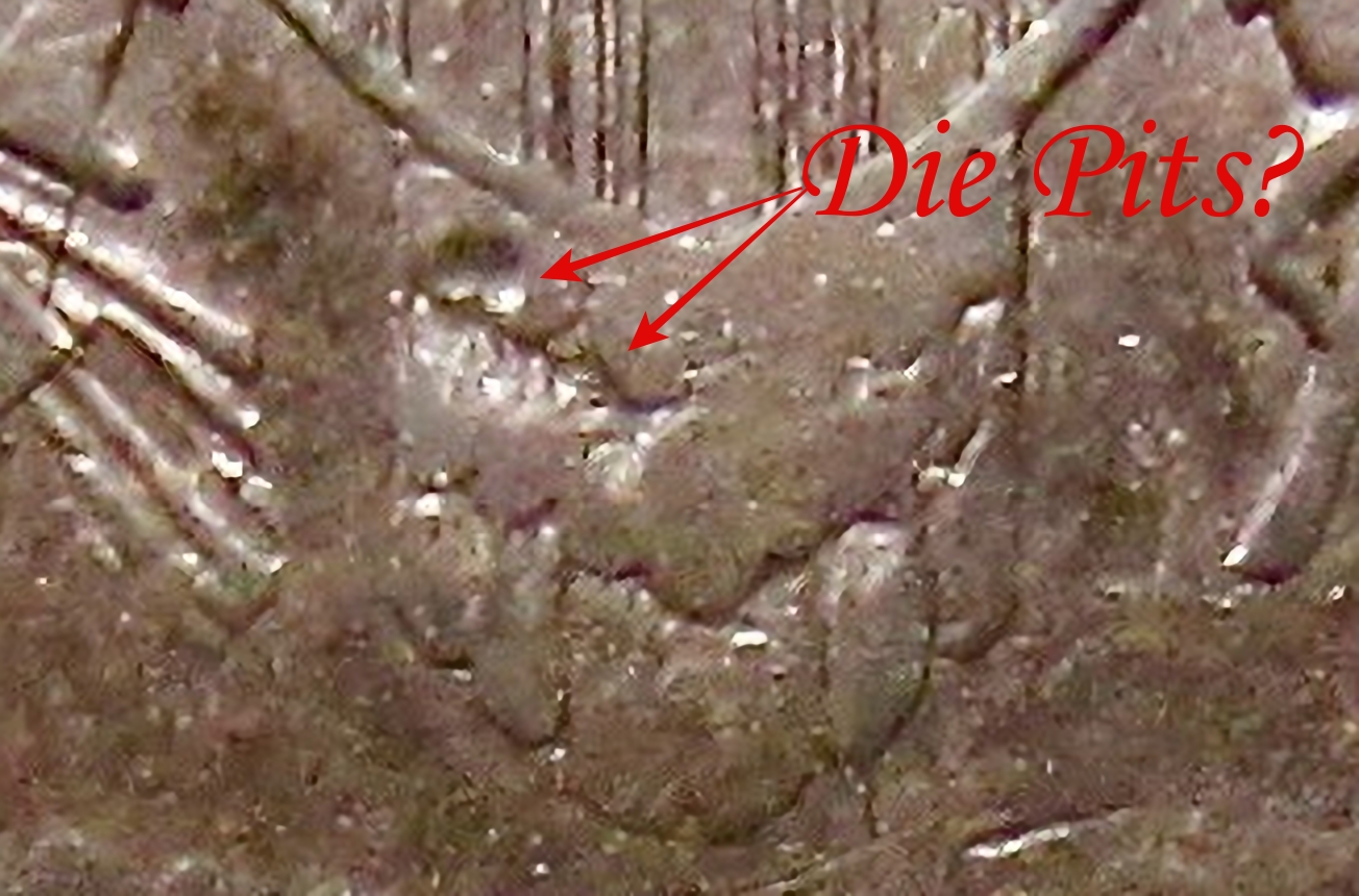 1801 dime obv picture - die pitting - 2.jpg