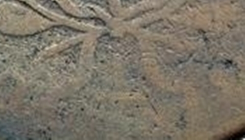 1801 L                L 1801 NC-5 closeup of fraction.jpg