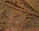 1803 Subject Closeup around 3.jpg