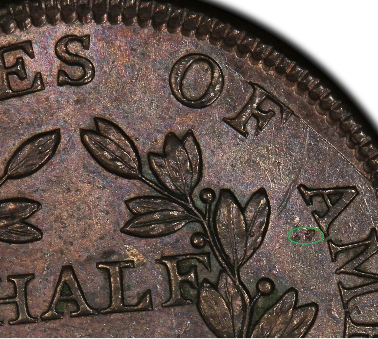 1804 C-6 rev.jpg