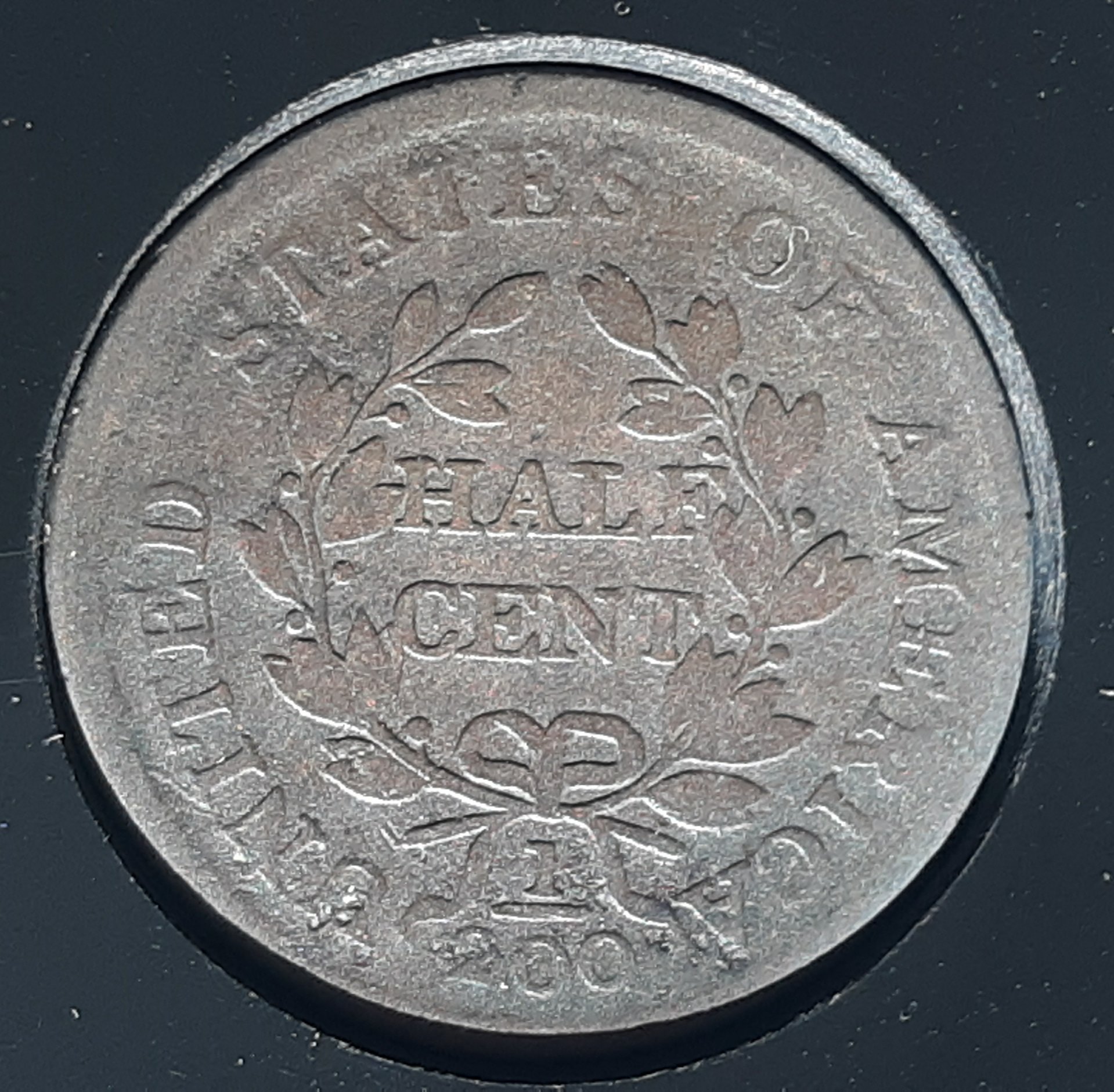 1804 reverse.jpg