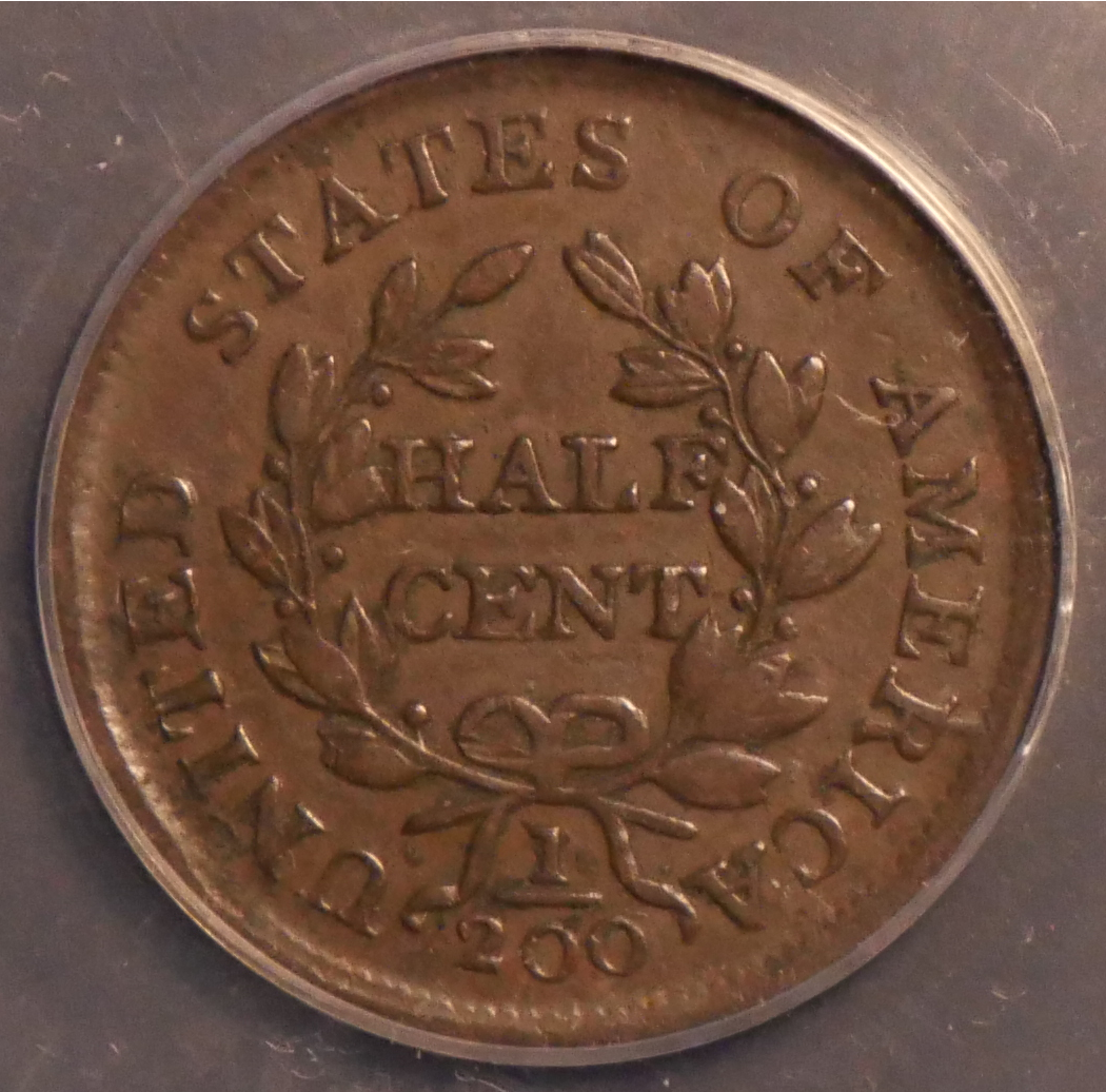 1804_HalfCentRev_Crosslet4Stems.png