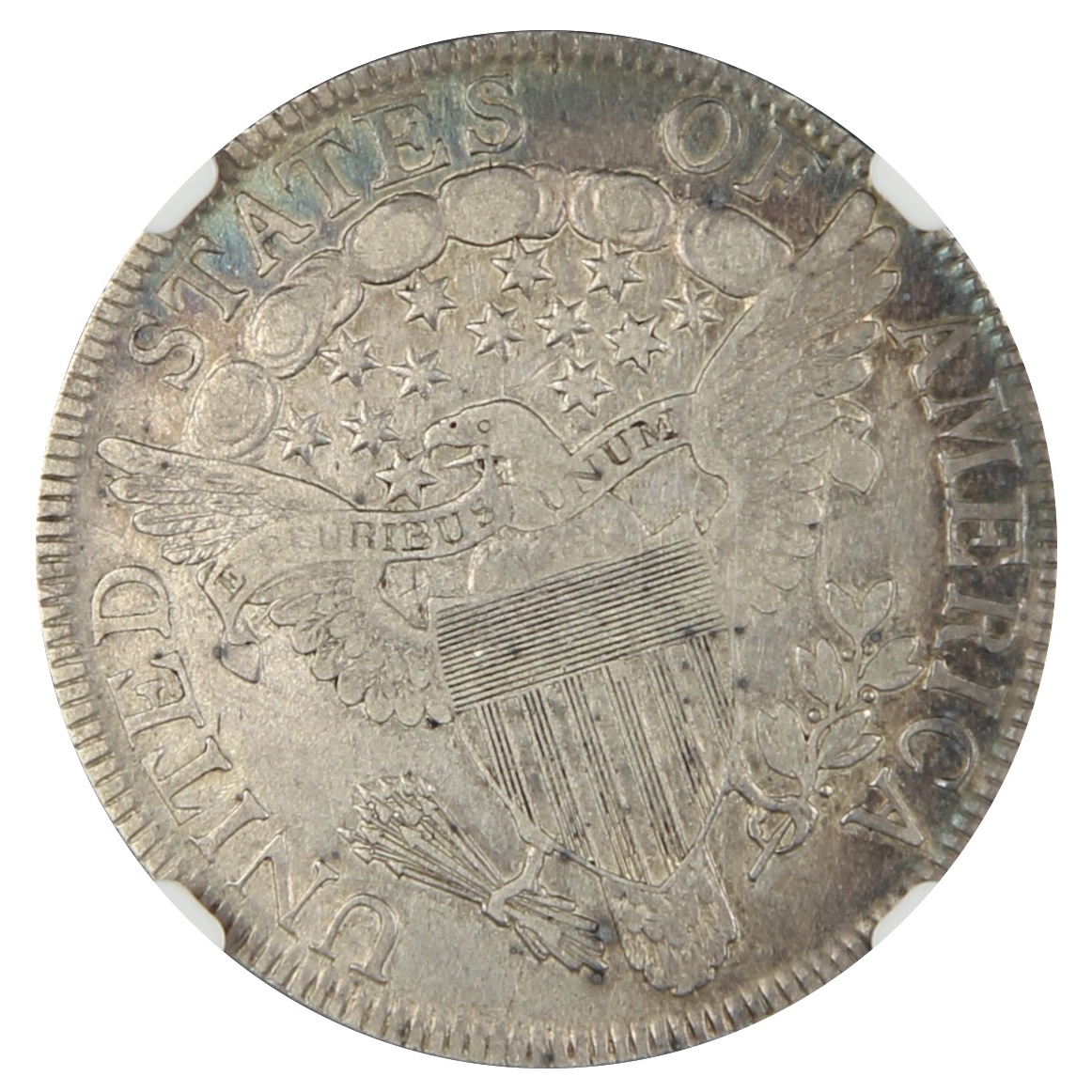 1806 trev wht.jpg