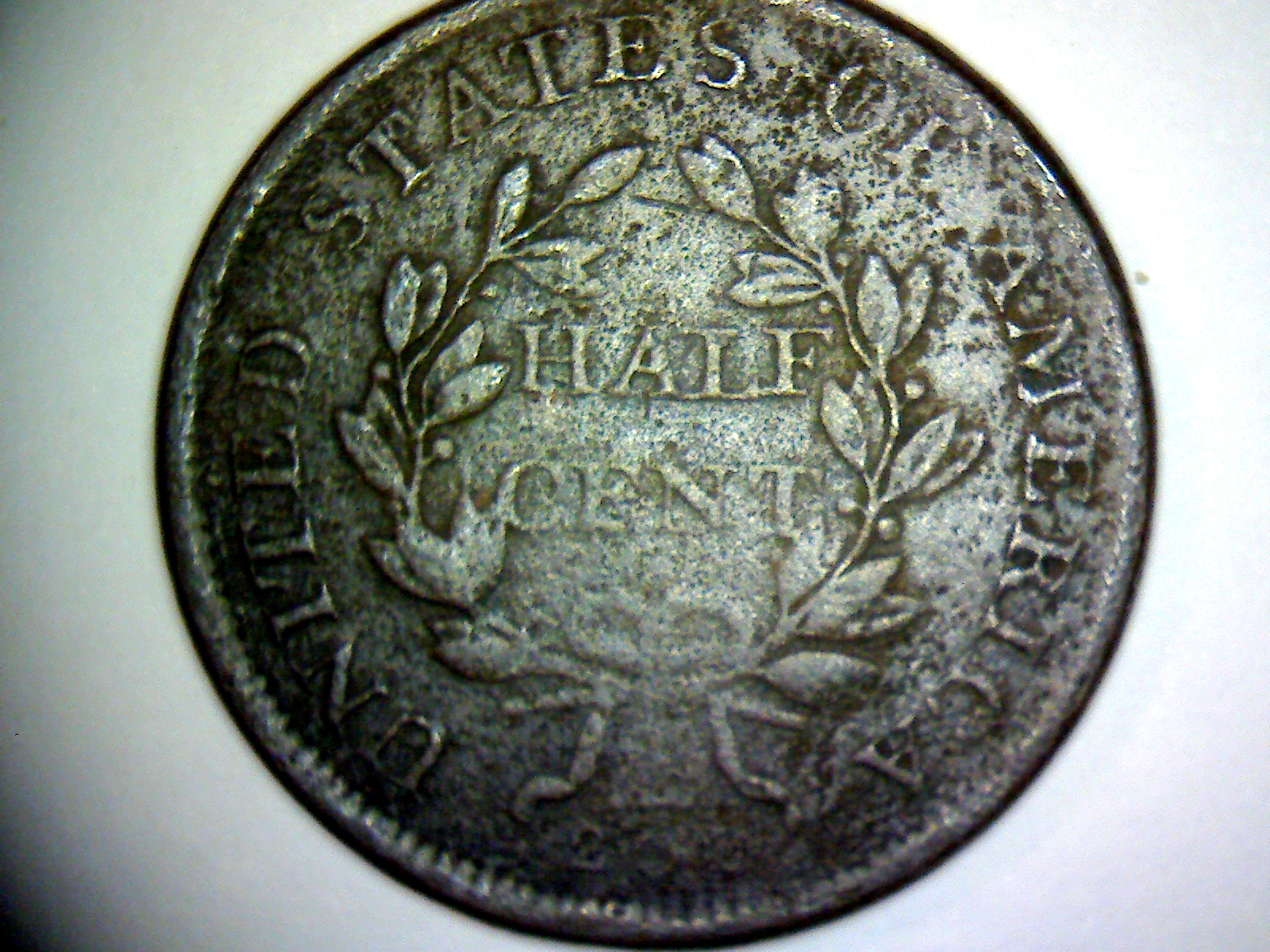 1807 Draped Bust half cent rev.jpg