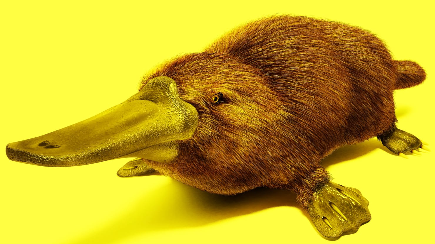 180702-Schultz-Platypus-tease_ngsm9o.jpg