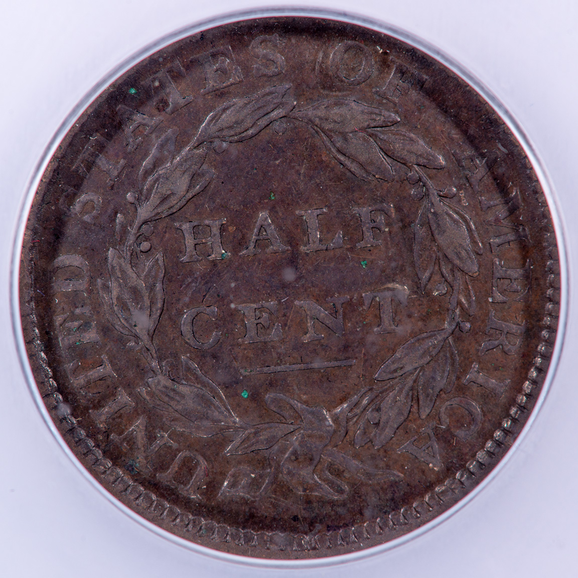 1809over6Rev.jpg