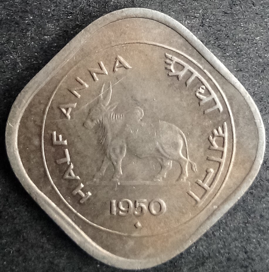 181.jpg