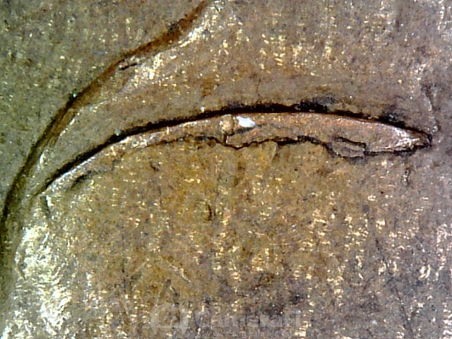 181020_003607.jpg