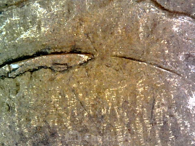 181020_003628.jpg