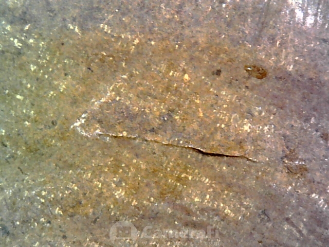 181020_003706.jpg