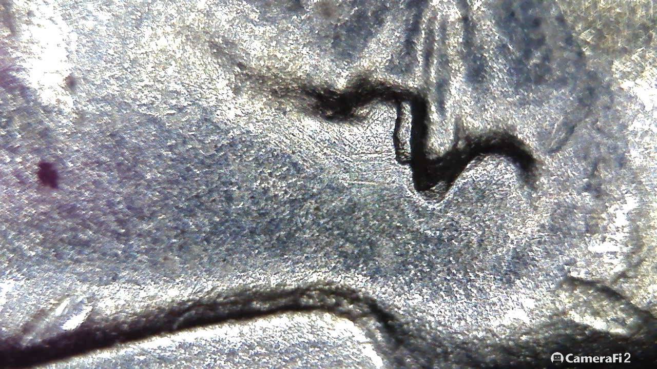 181222_193457.jpg