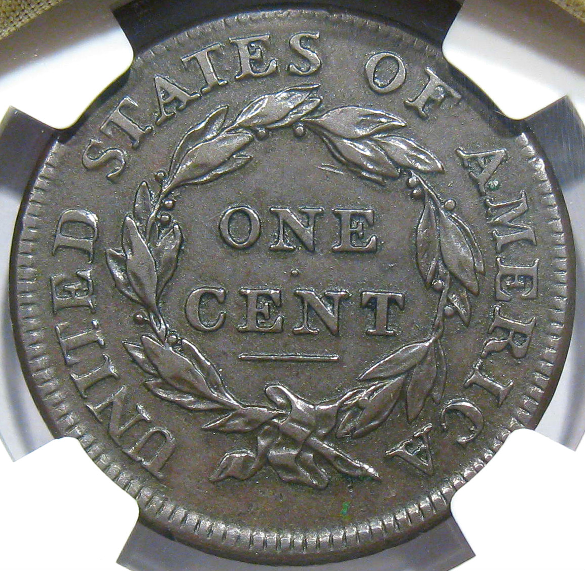 1813 rev.jpg