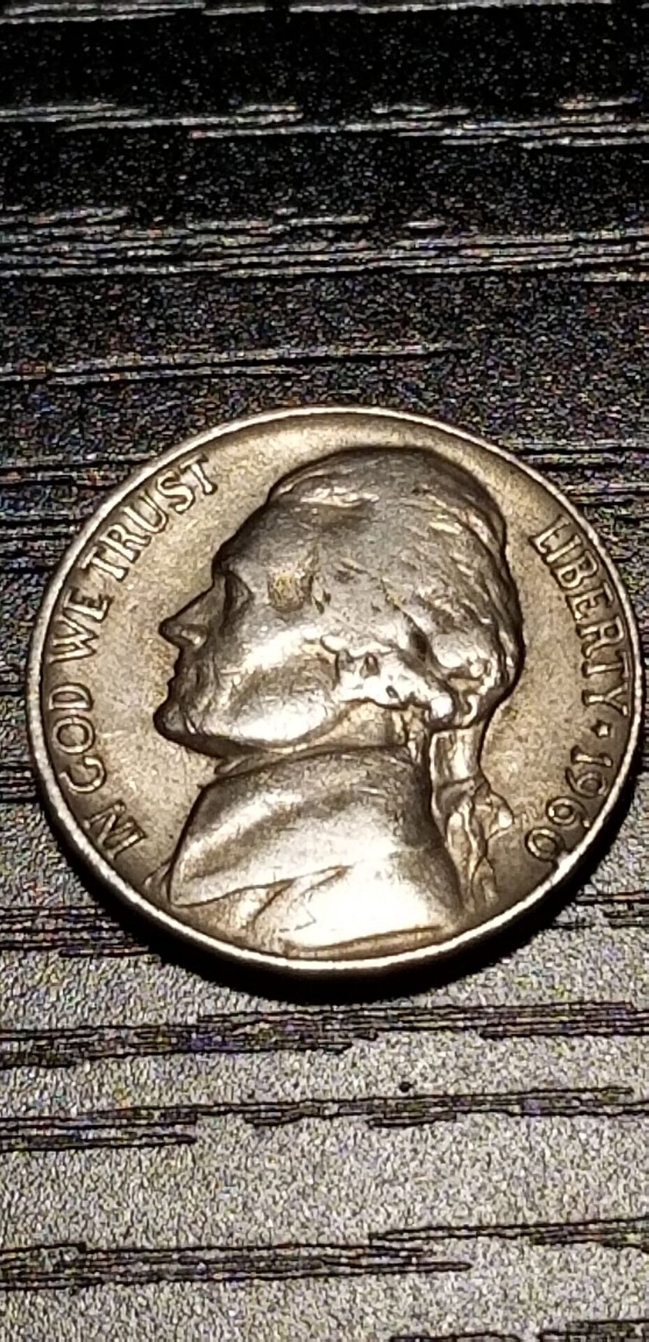 181328429_486683932782376_671802272094320798_n.jpg