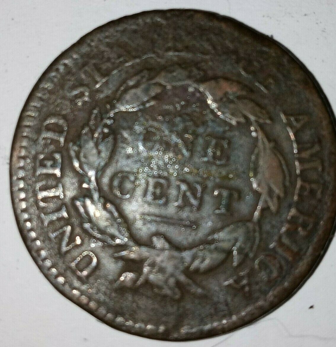 1816r.jpg