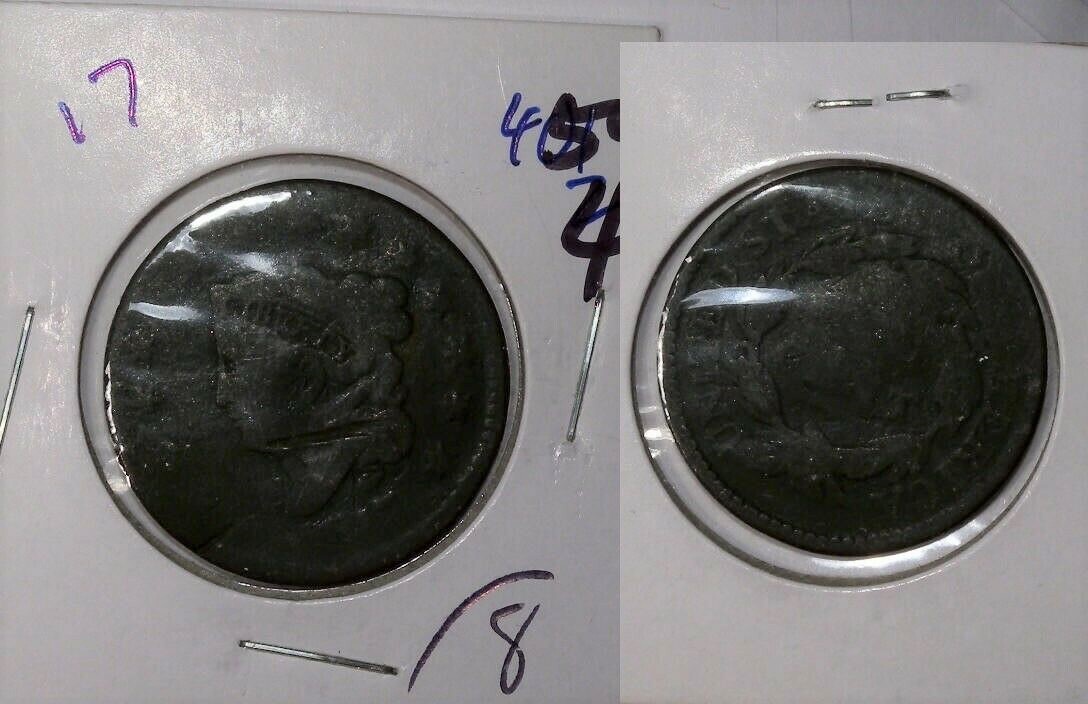 1817 (2).jpg