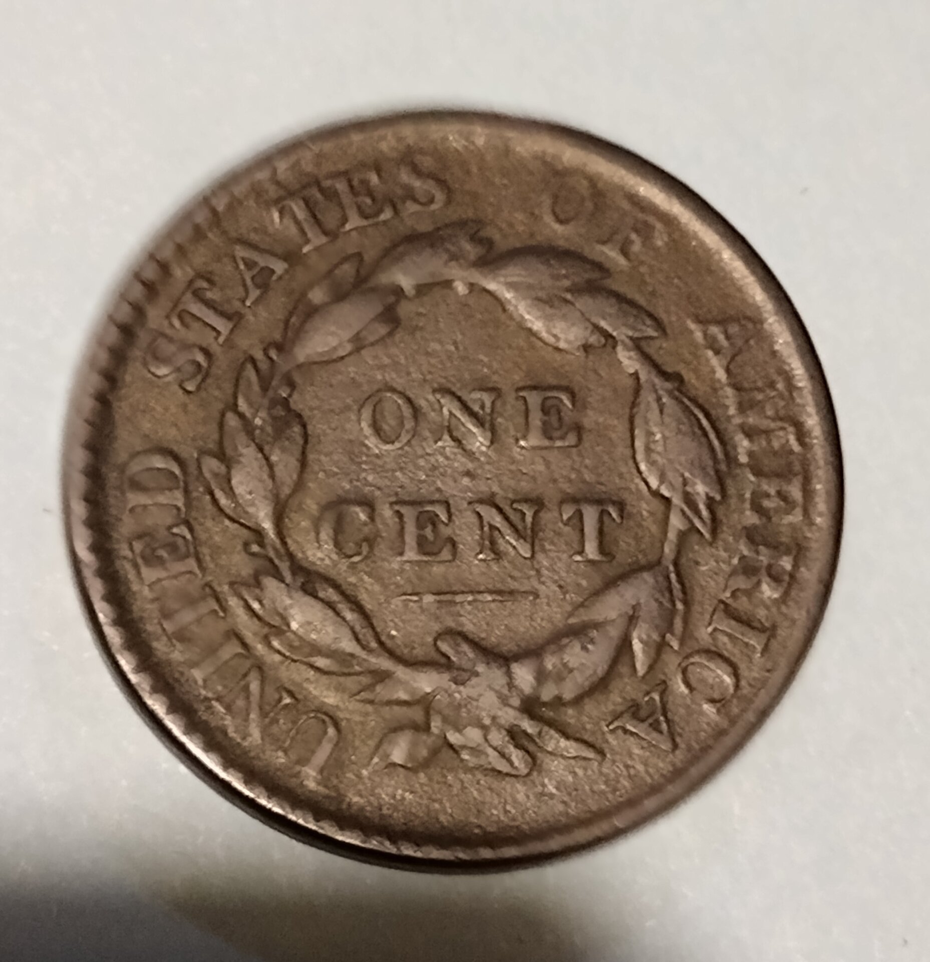 1817REV.jpg