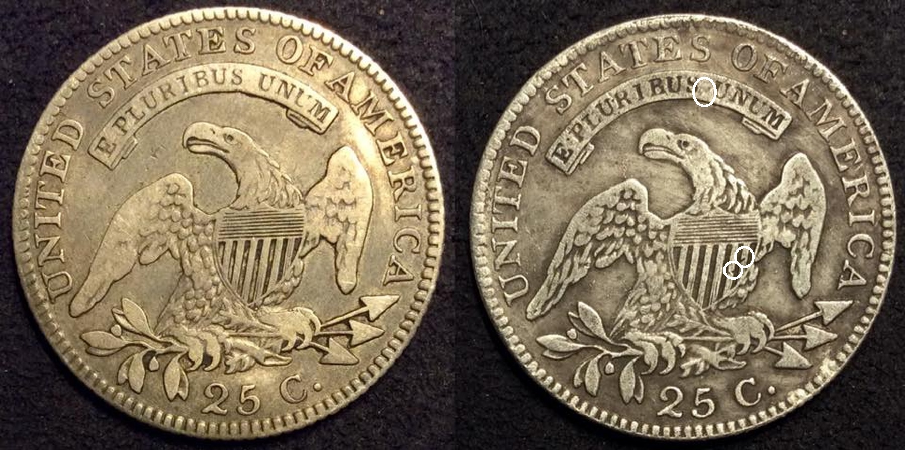 1818-revs.jpg