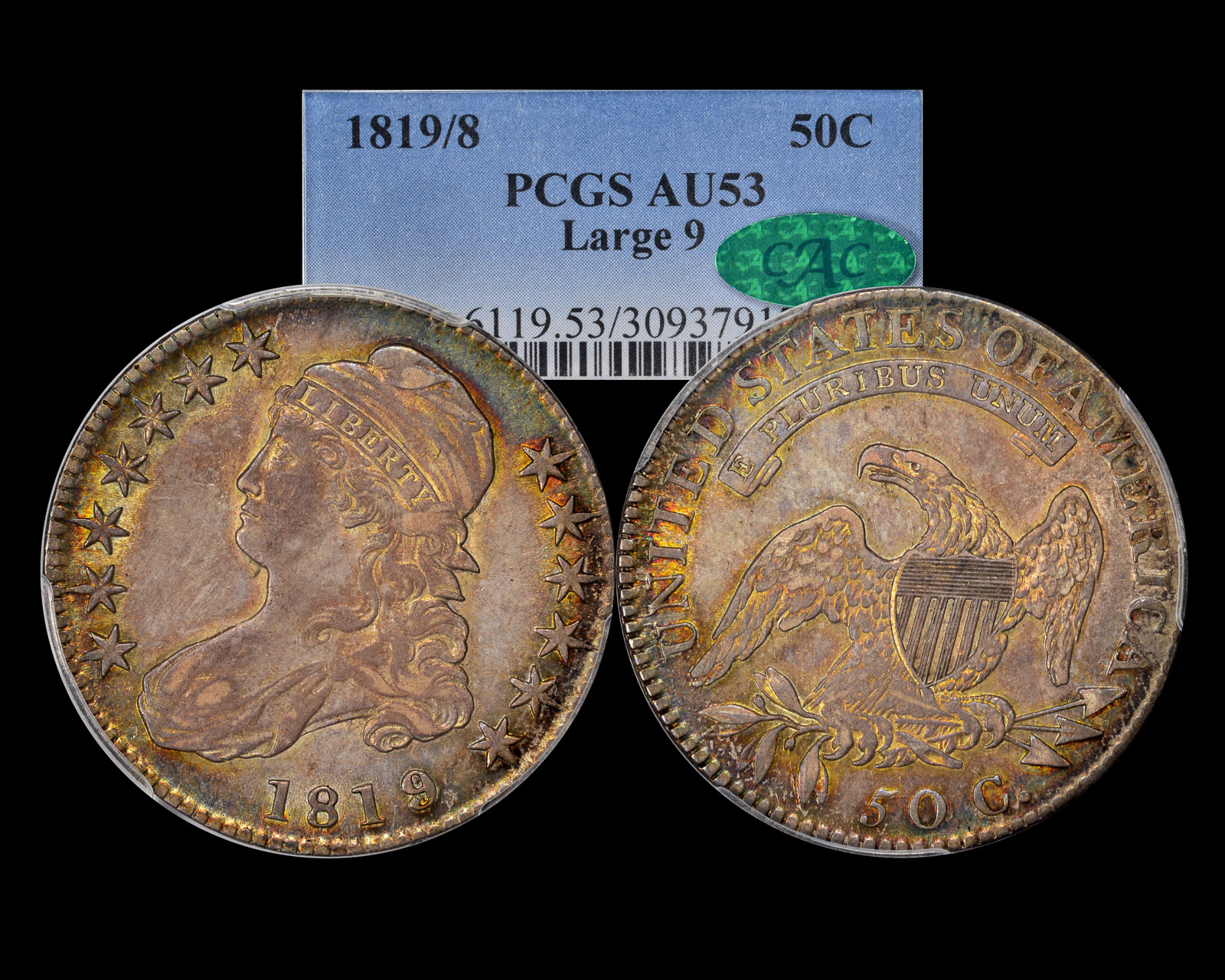 1819-8-p53-lg9.jpg