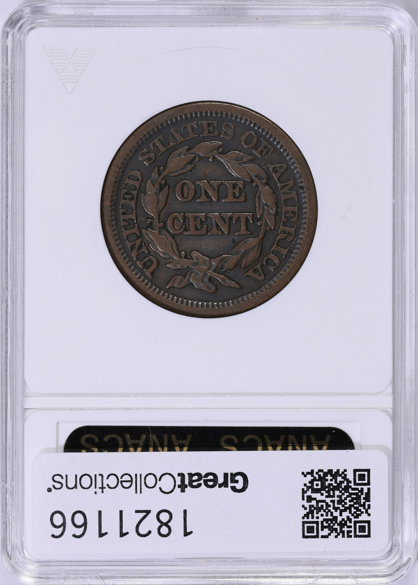 1821166-2.jpg