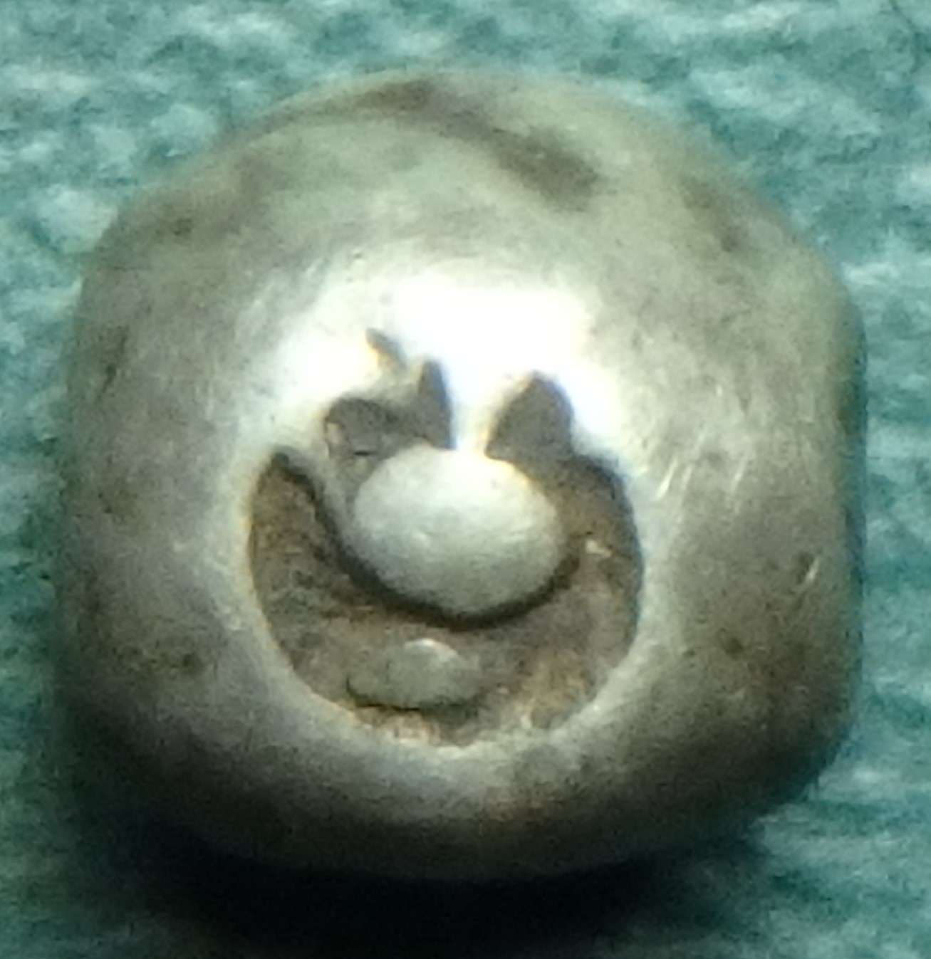 1824-1851 TH PD AR obv (1).JPG
