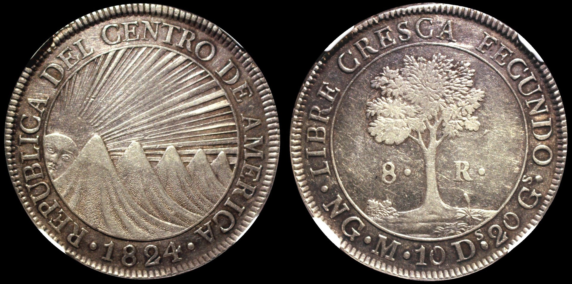 1824_NG_M_8Ra.jpg