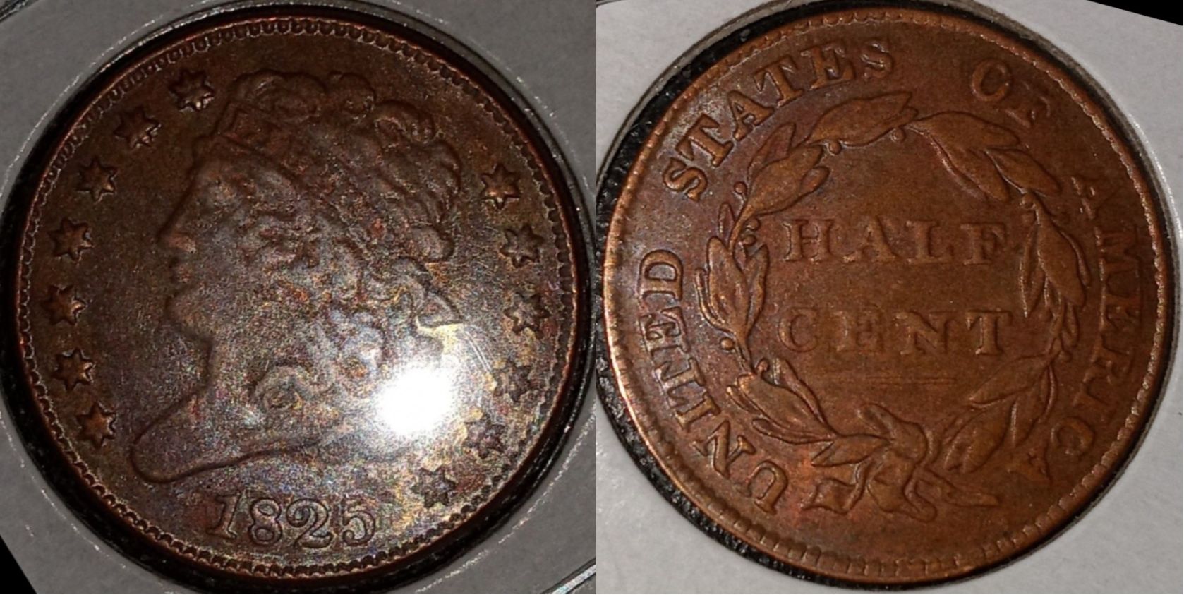 1825 hc.jpg