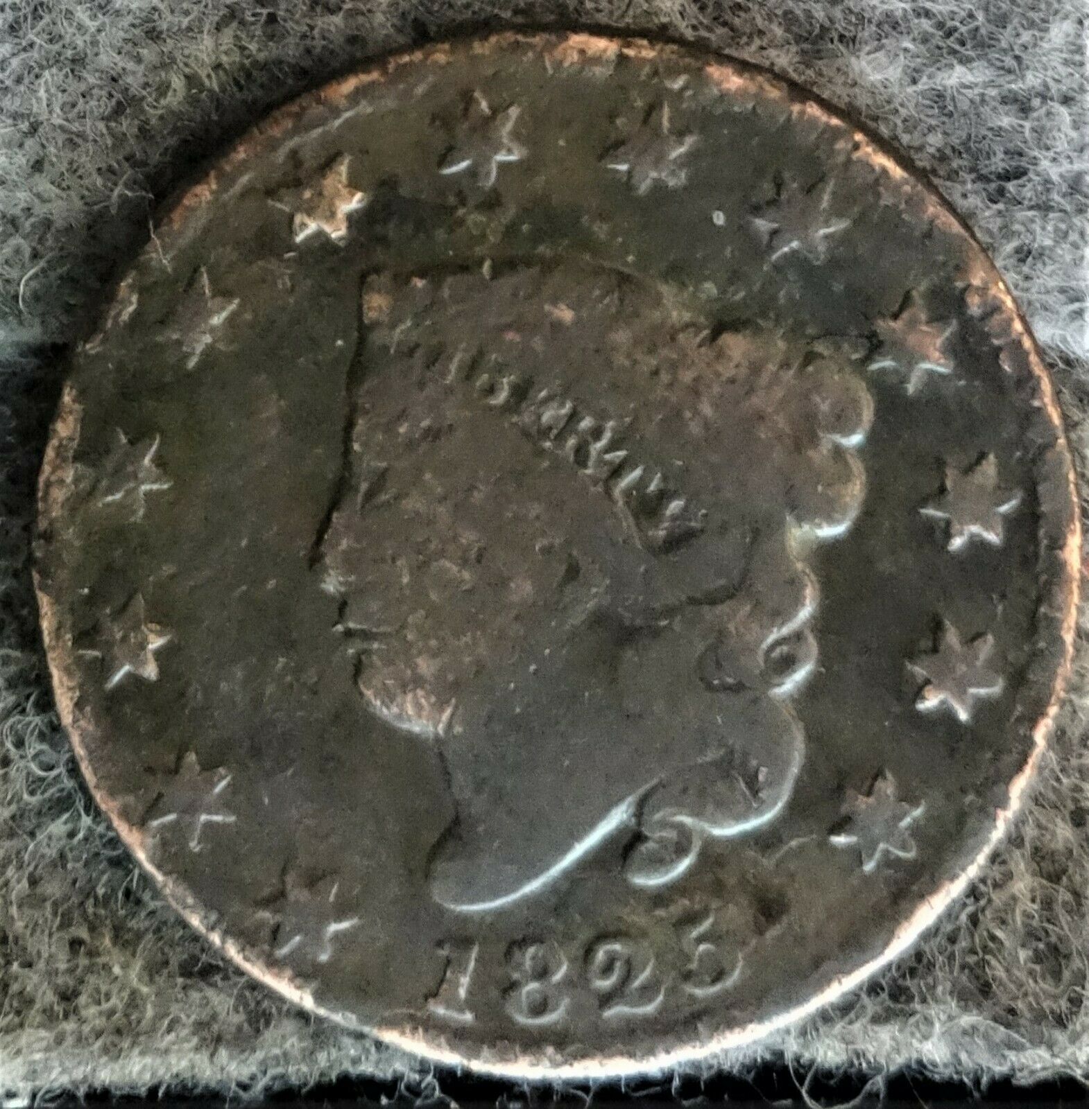 1825.jpg