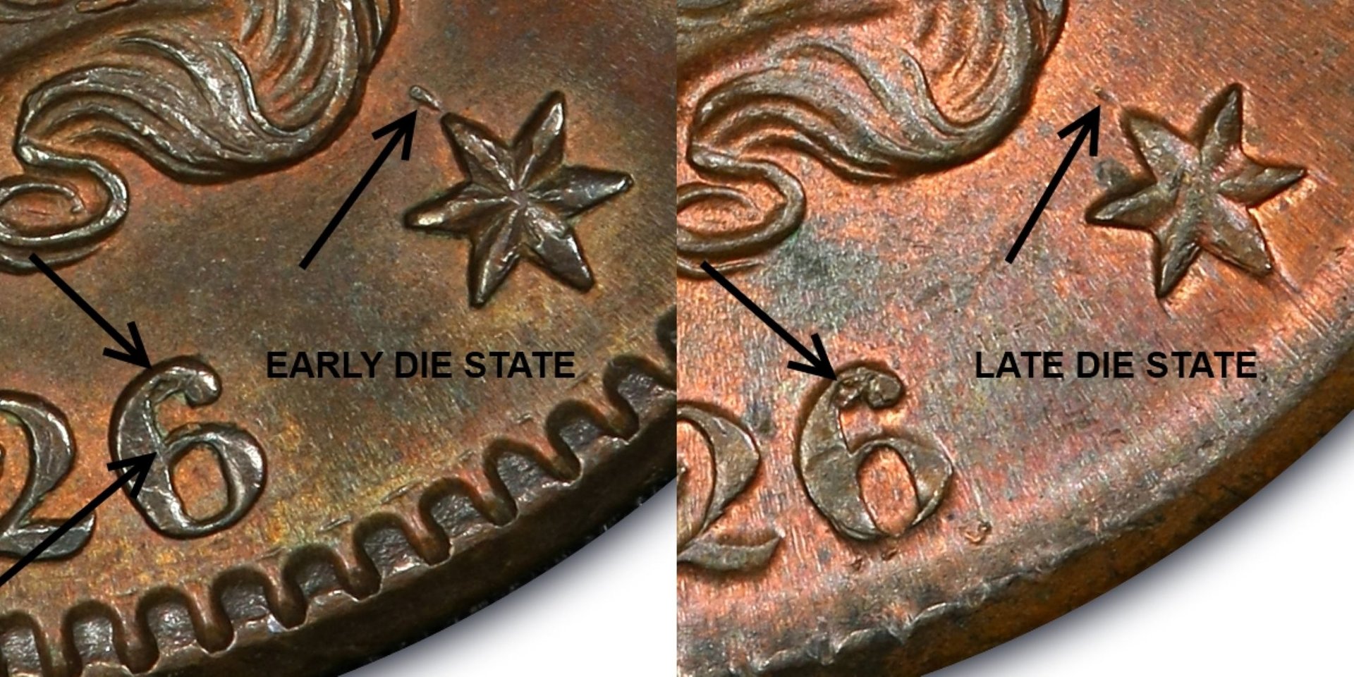 1825a.jpg