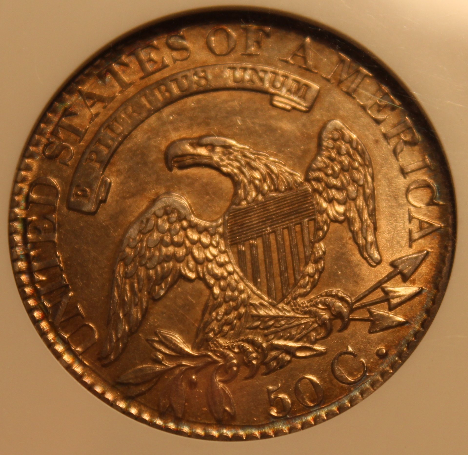 1826 (3).JPG