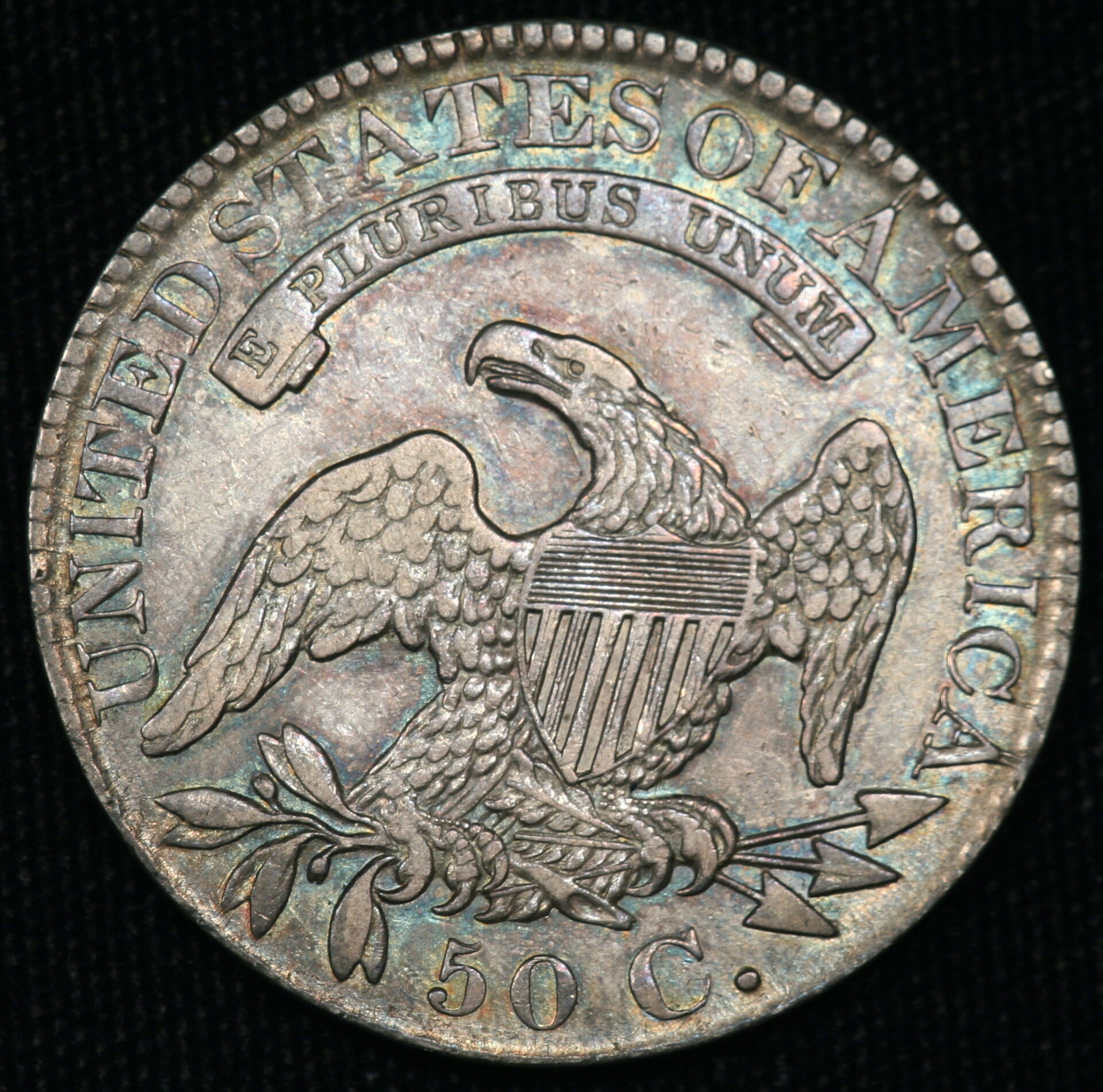 1828-Image_0509.jpg