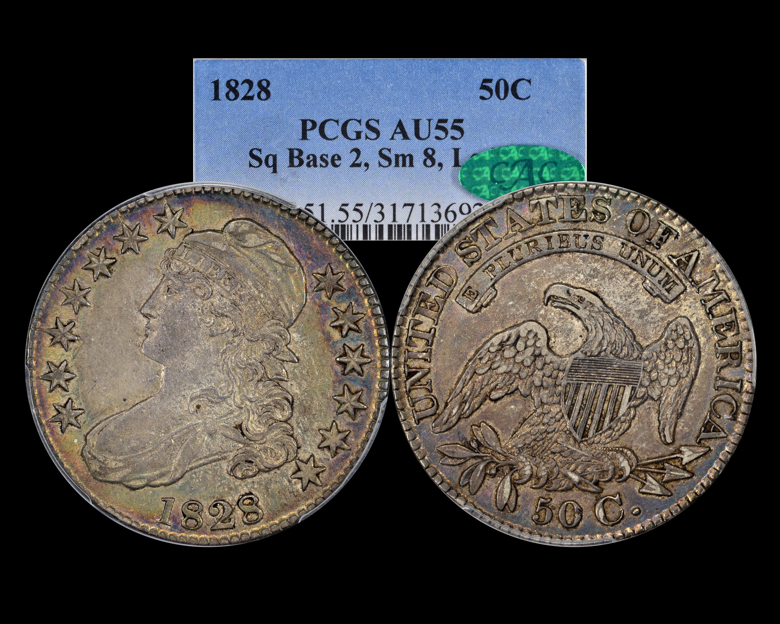 1828-p55-sq2.jpg