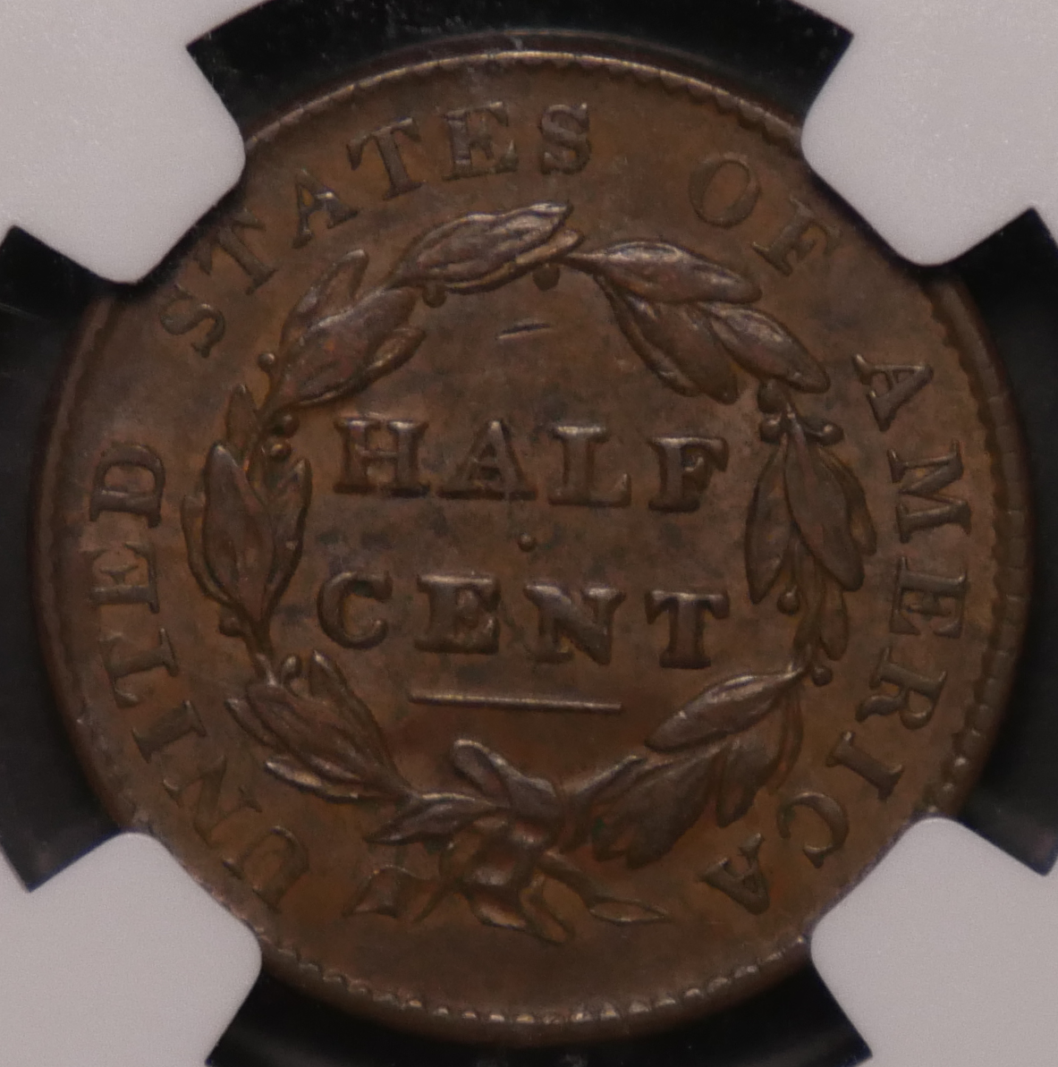 1828_HalfCent_02.png