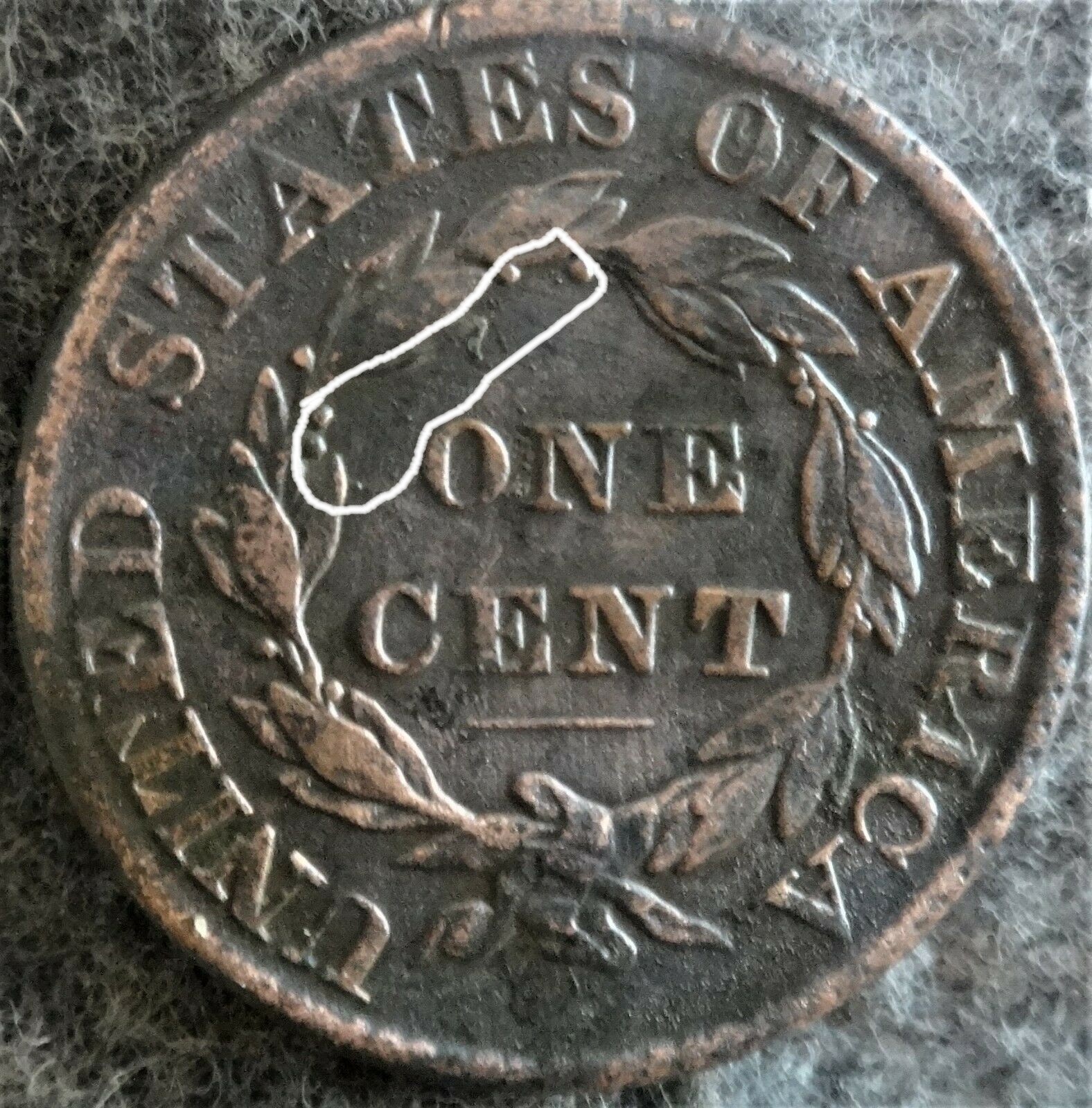 1829 Large Cent N-8 R DET.jpg