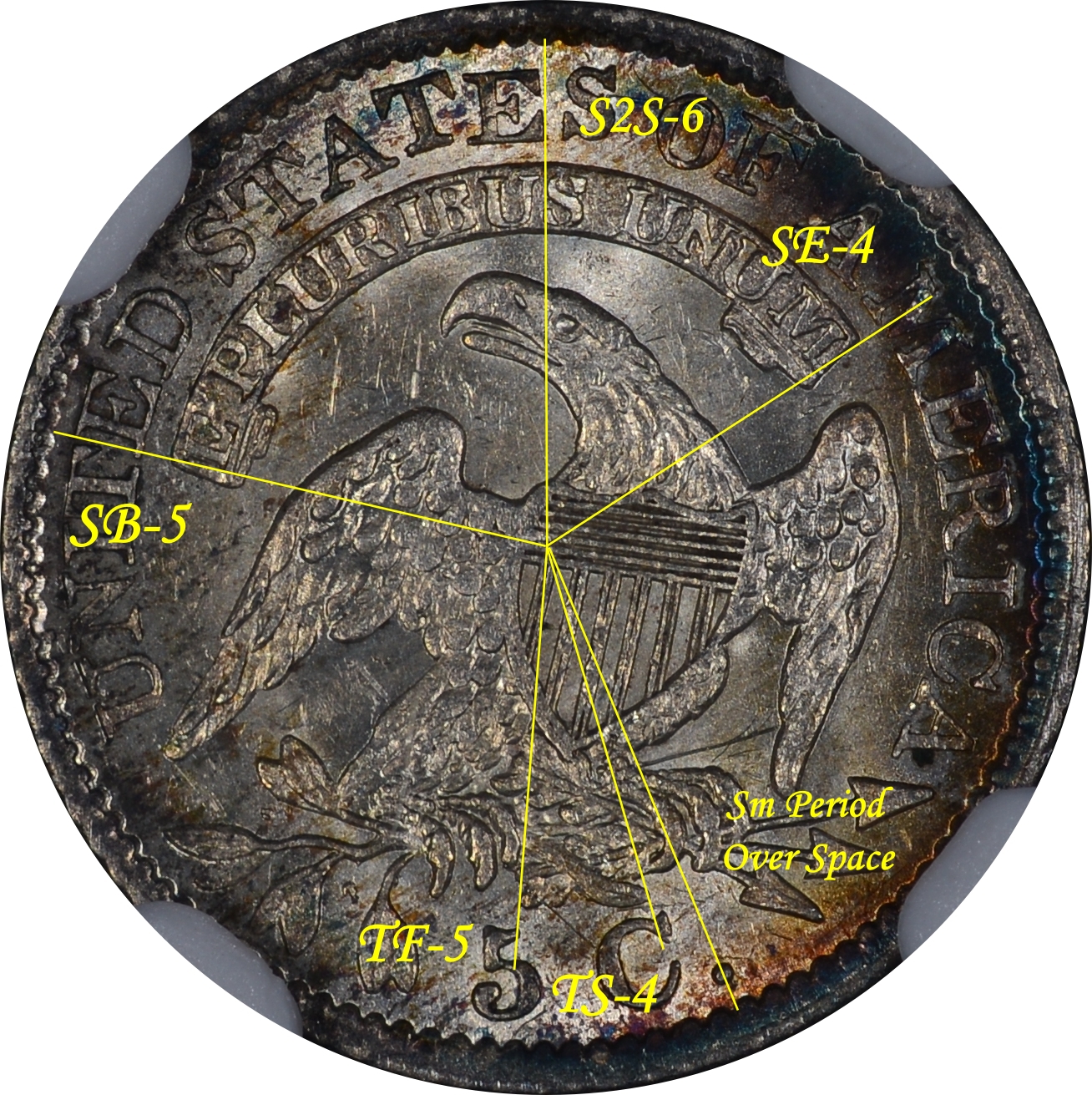 1829 Rev-Banners & Stem.jpg