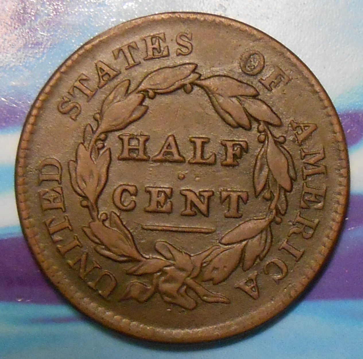 1829halfcent rev.jpg
