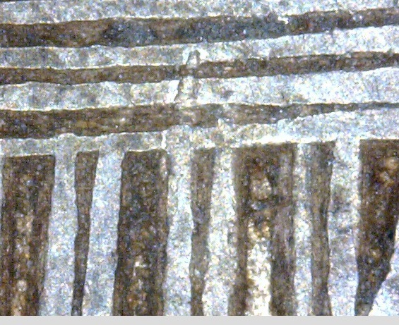 1830 Breen 2985 lines in shield-crop.jpg