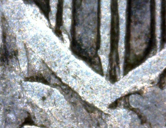 1830 Bust Half Dime lt Shield.jpg