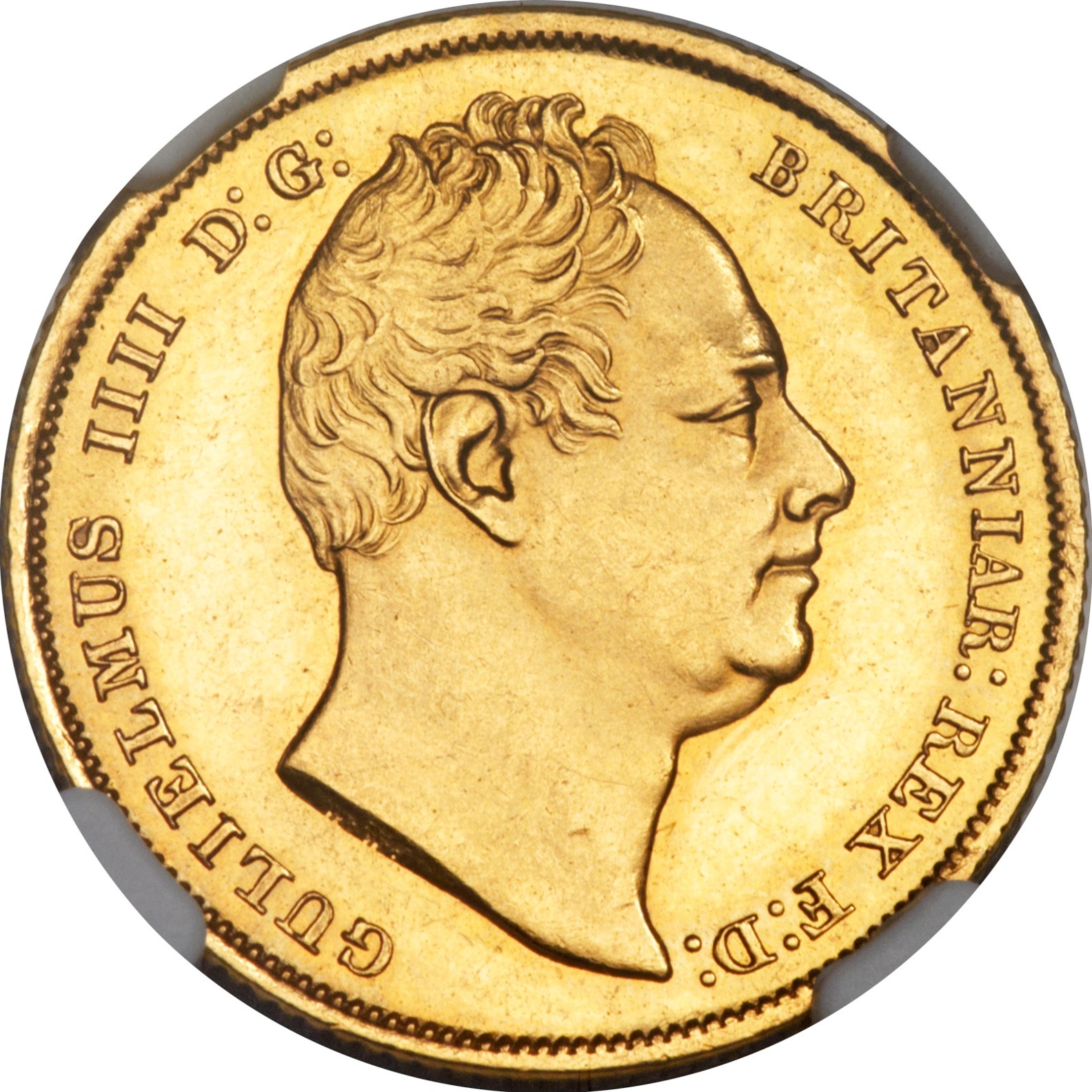 1831 William IIII MS61 Obv.jpg