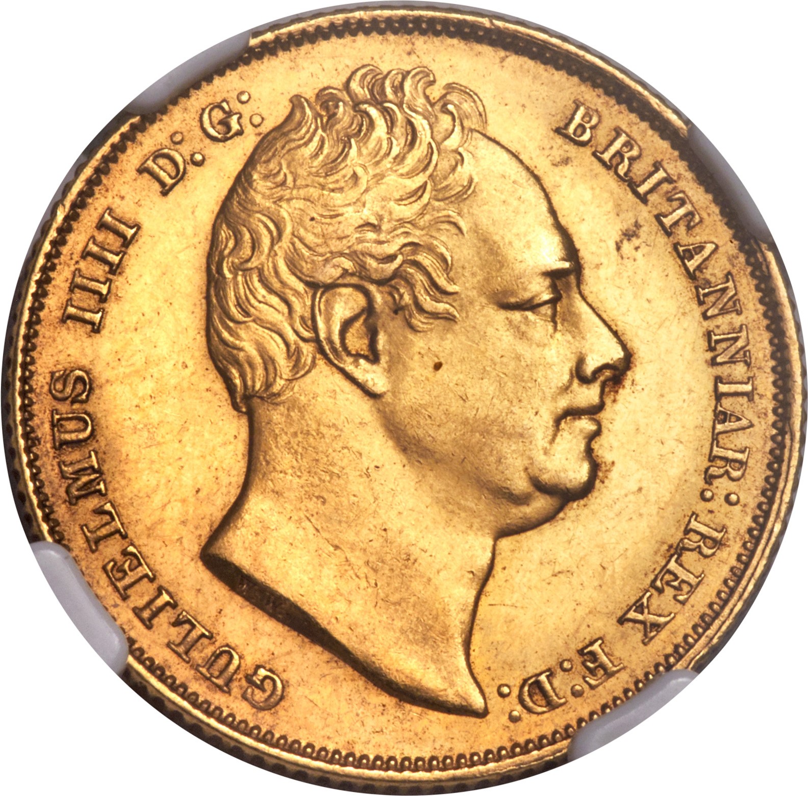 1831 William IIII MS62 Obv.jpg