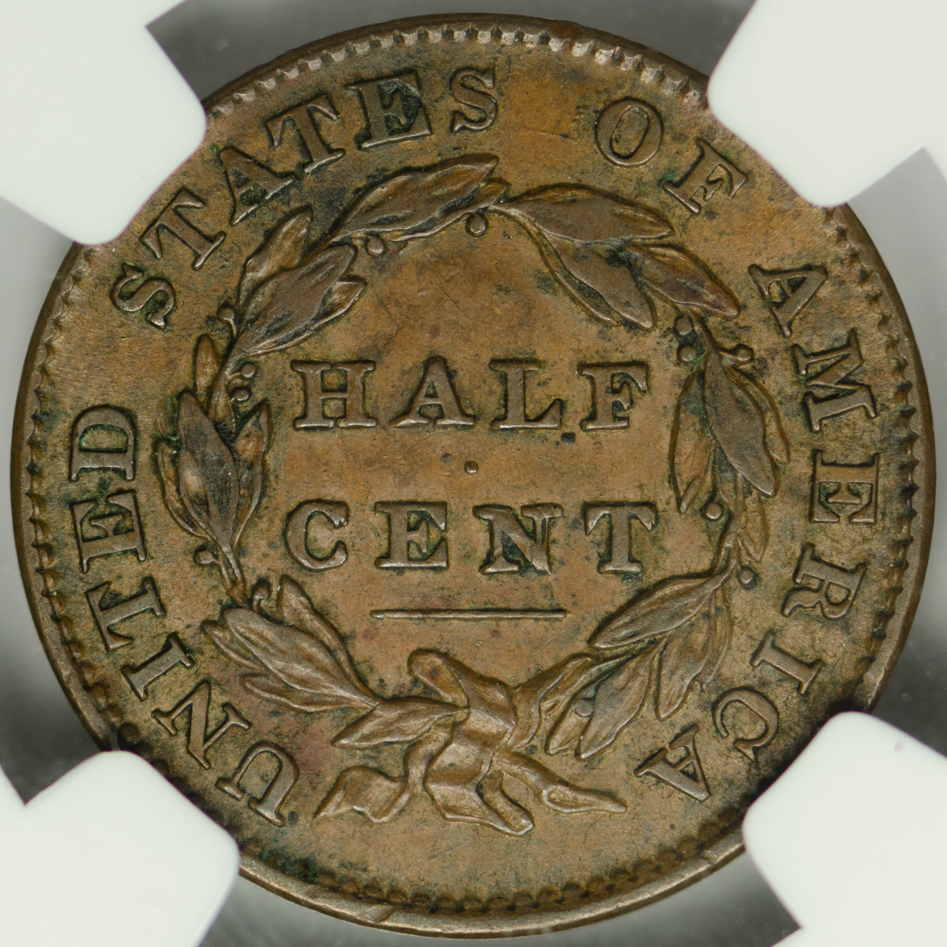 1832 H1C HALF CENT - CLASSIC HEAD NGC AU55BROWN 3417637-004 CAC Rev Closeup.jpg