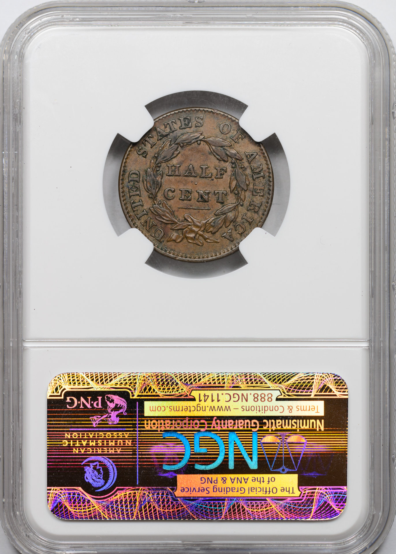 1832 HALF CENT - CLASSIC HEAD NGC AU55BROWN 3417637-004 CAC Rev Slab v2.jpg