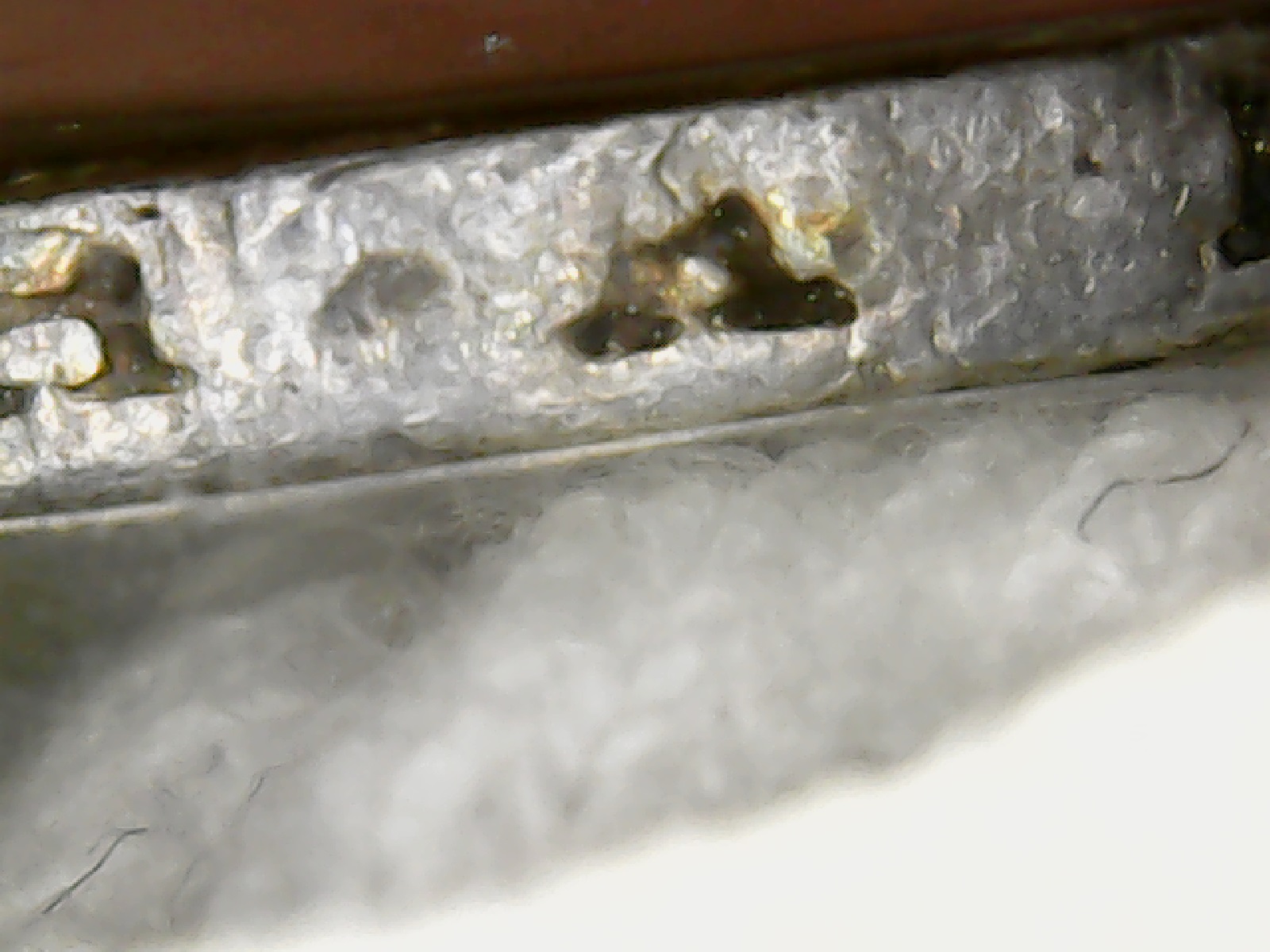 1832 half missing R on edge 2.jpg