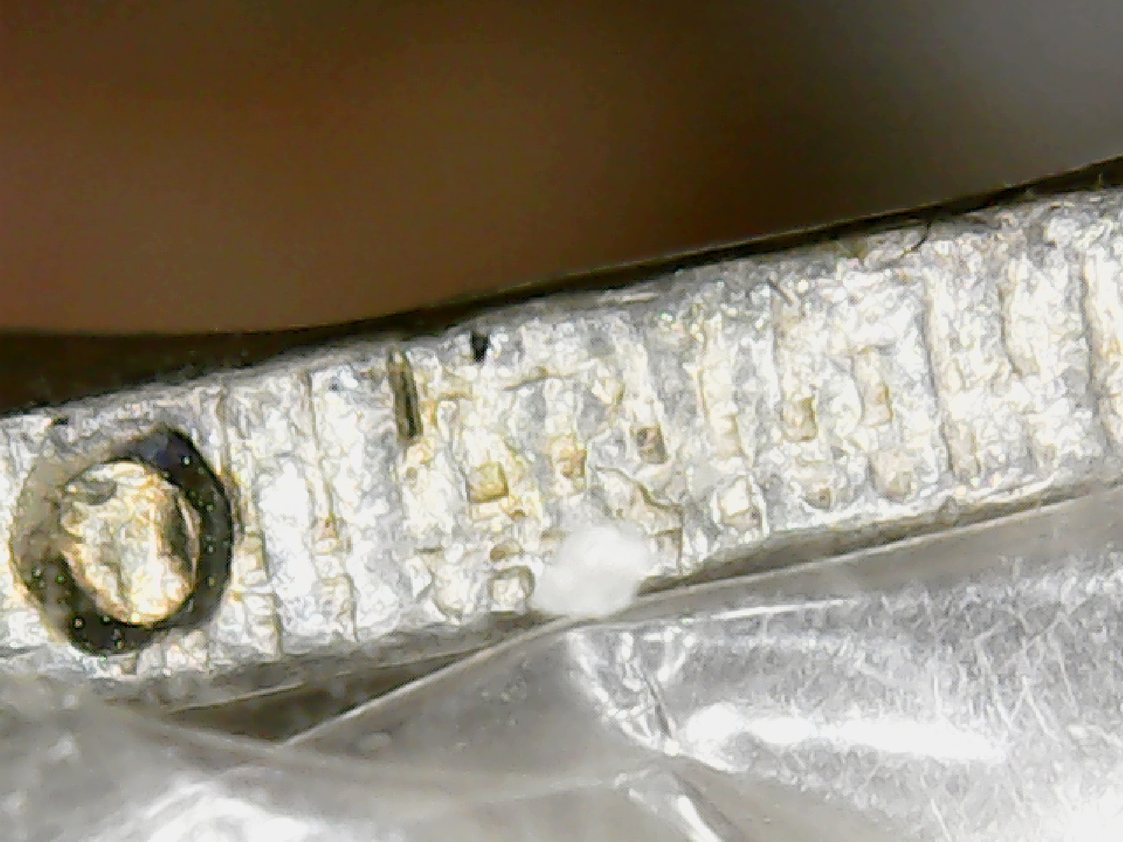 1832 half missing R on edge.jpg