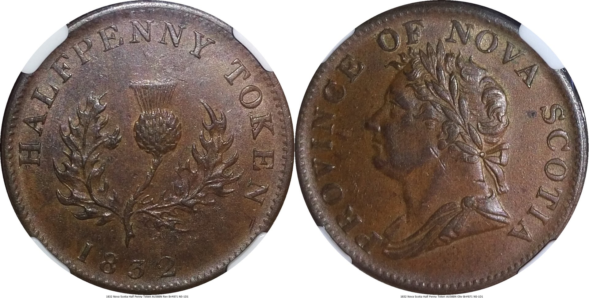 1832 Nova Scotia Half Penny Token AU58BN Br#871 NS-1D1-tile.jpg