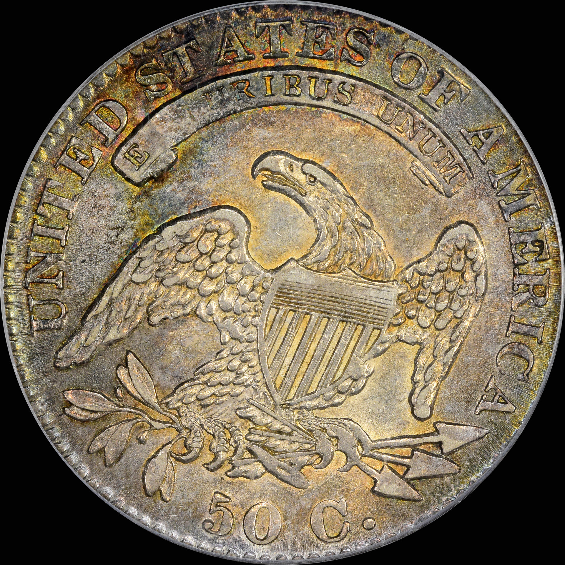 1832-p53-r.jpg
