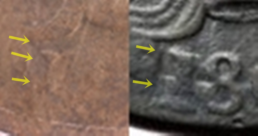 1832918016366 Close-up of 1-horz.jpg