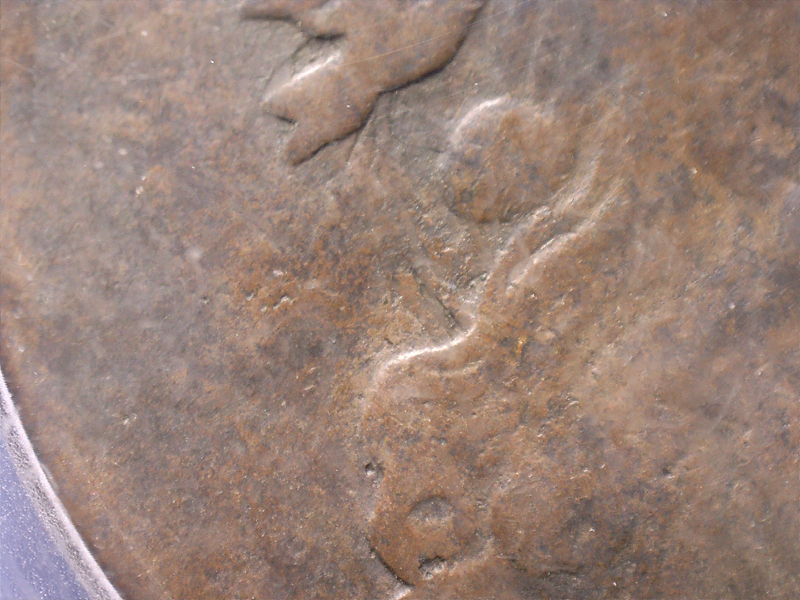 1832918628763.jpg