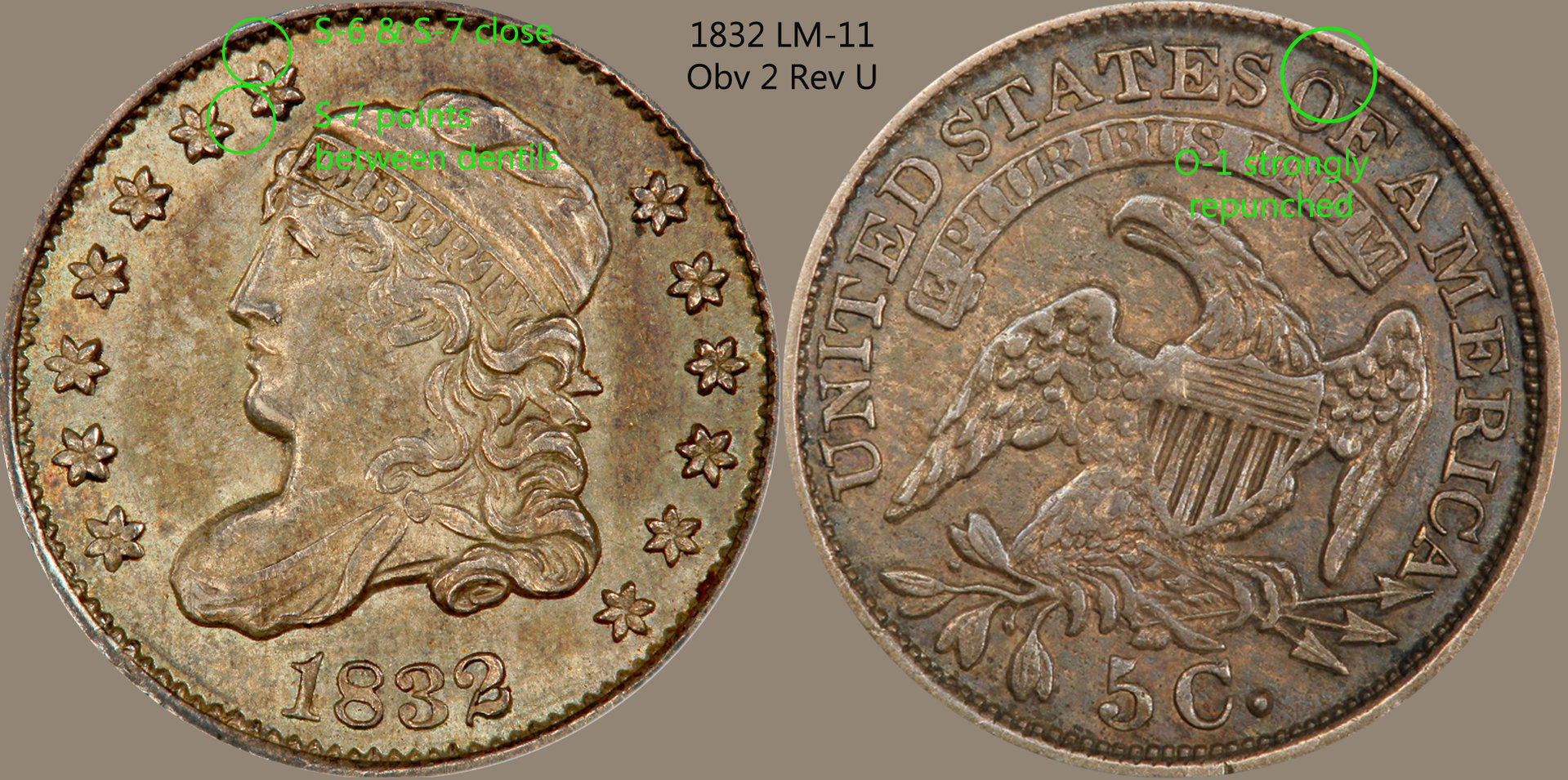 1832_lm-11-1.jpg