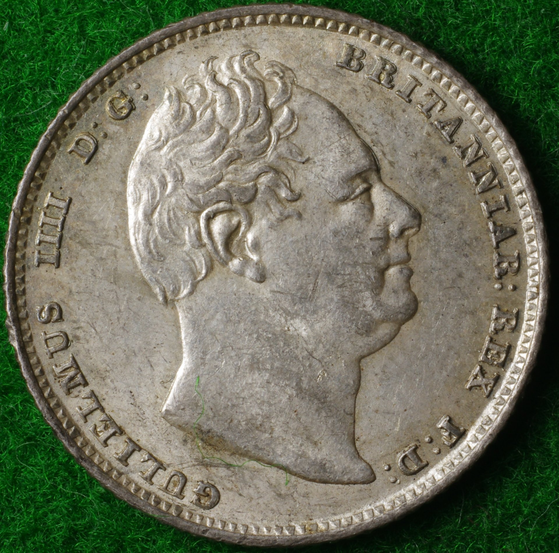 1834 6D 2.JPG