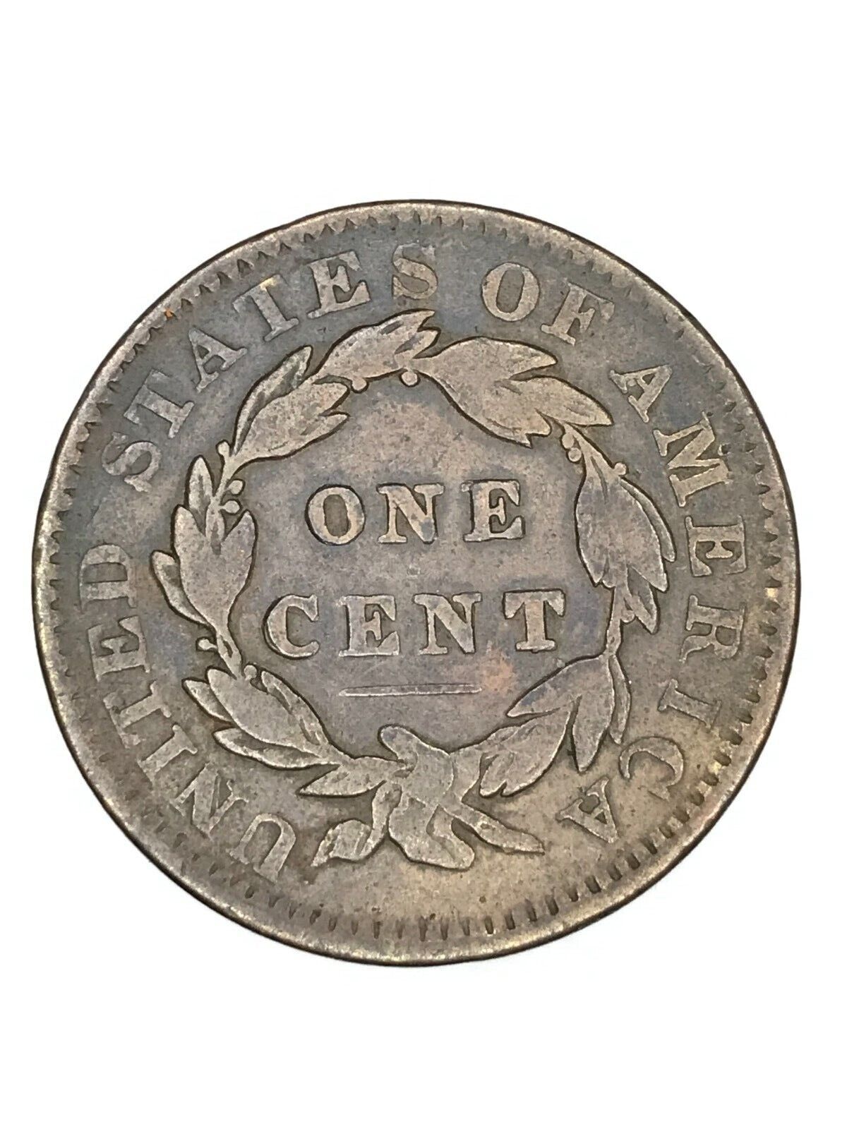 1834lrgx3r.jpg
